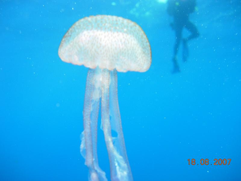 DSCN5864