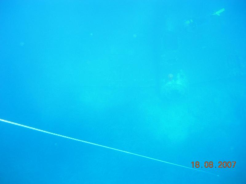 DSCN5866