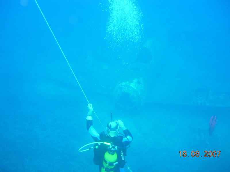 DSCN5901
